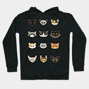 Cats A Plenty Hoodie